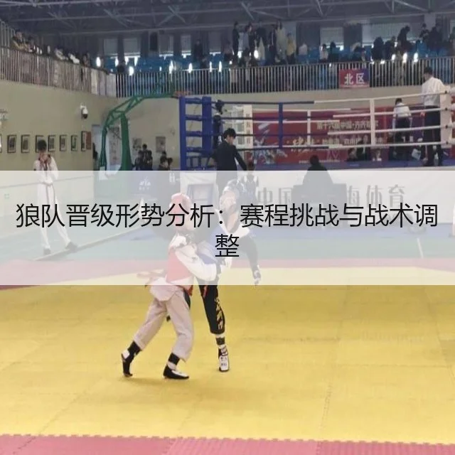 狼队晋级形势分析:赛程挑战与战术调整